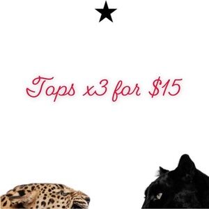 Bundle x3 Tops for $15!